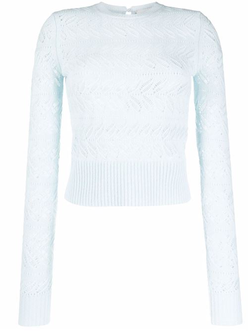 Embroidered sweater SPORTMAX | 23610327600BRIOSE002