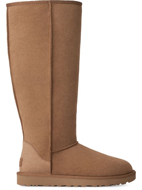Stivale Classic Ultra Tall UGG | 1182132CHE